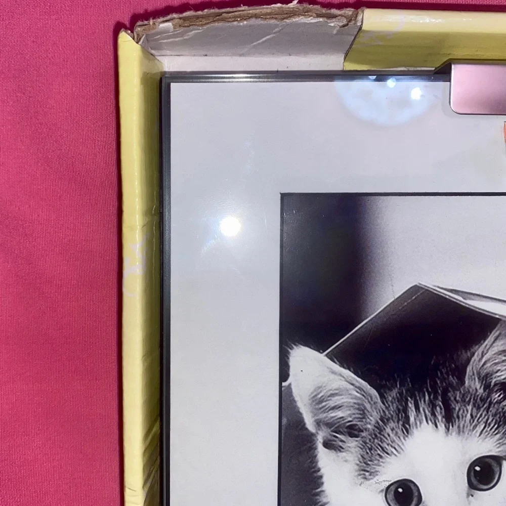 “Meow” Cat Picture Frame Glass Black White Border Kitten Kitty Pet Animal Home